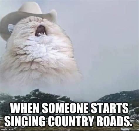 Country Roads Cat Memes - Imgflip