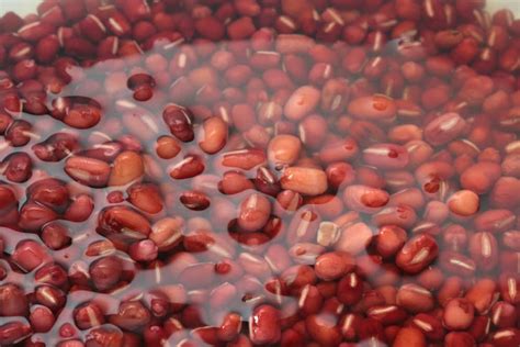 Soaking Beans (Quick Bean Soak, Long Soak and Pressure Soaking Beans) - Miss Vickie