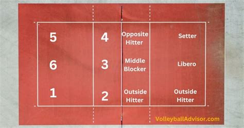 6 Volleyball Positions And Player Roles Explained