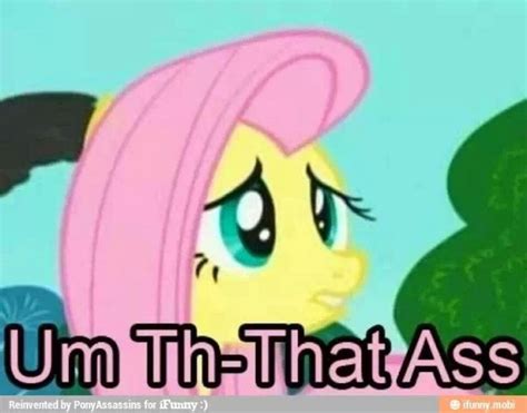 . Mlp Memes, Mlp Twilight, My Lil Pony, Fluttershy, Aesthetic Images, I Cant Even, Dear God ...