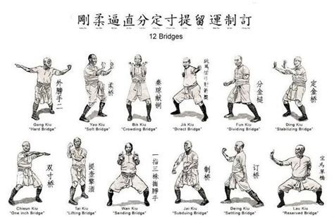 Bridge stances | Martial arts styles, Martial arts, Best martial arts