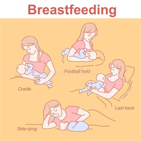 Breastfeeding Positions Set. Mother and Baby Together. Infographic for ...