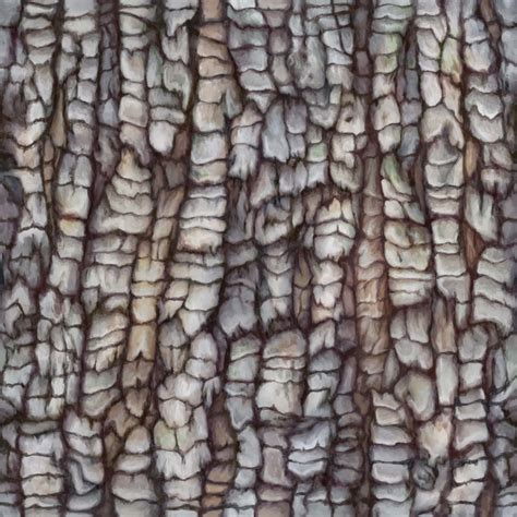 Tree Bark Texture Drawing at GetDrawings | Free download