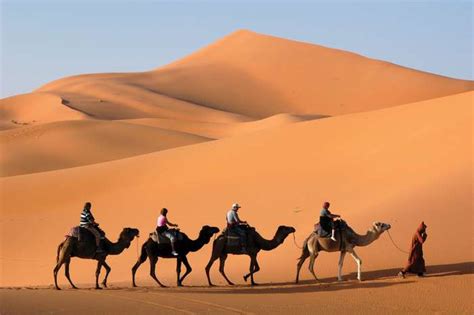 Ancient Egypt Sahara Desert: Best Uncovering Of The Wonders Of The Sahara Desert | EZ TOUR EGYPT