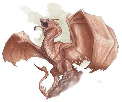 Wyvern | Wyvern, Dungeons and dragons, Bestiary