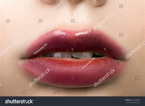 Women Beautiful Sexy Lips Macro Makeupcloseup Stock Photo 563430487 | Shutterstock