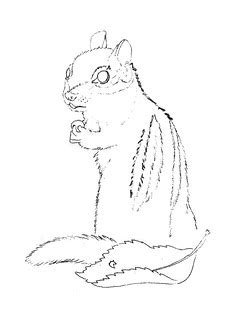 WS2009: Chipmunk - Line Art | Workshop by Tina Norris seen i… | Flickr