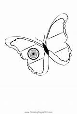 Indian Flag Butterfly Coloring Page For Kids  Free Independence Day sketch template