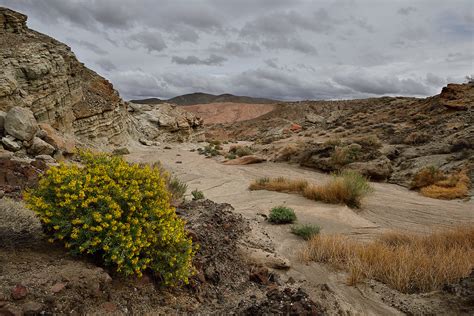 Desert wash | A recently dry wash in Hagen Canyon, Red Rock … | Flickr