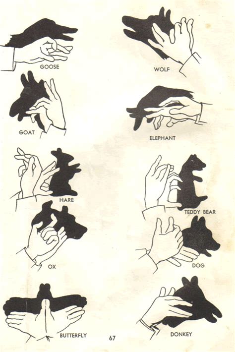 Hand Shadow Puppets - KidsPressMagazine.com