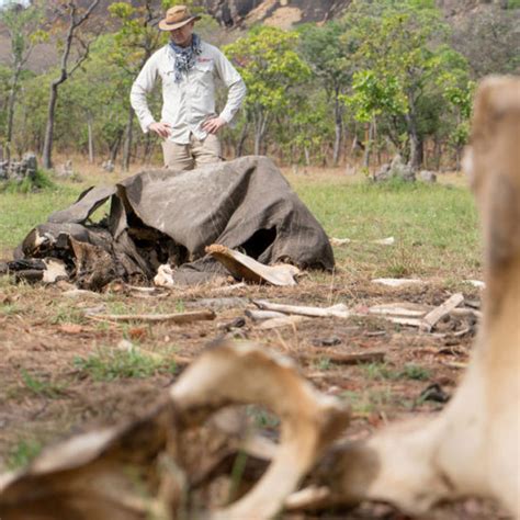 Jurassic Niassa - Africa Geographic