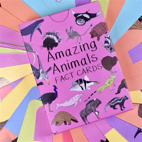 Amazing Animal Fact Cards, Set 2, Animal Facts, Unusual Animals ...