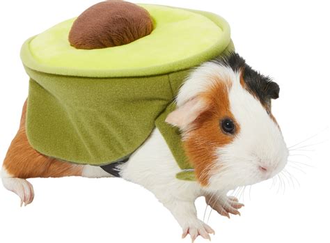 FRISCO Avocado Guinea Pig Costume, One Size - Chewy.com