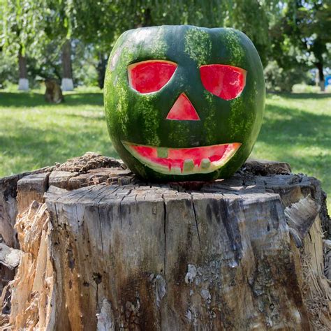 12 Crazy Things you Can Do With a Watermelon | Family Handyman