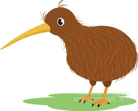 Bird Clipart-Kiwi Bird Clipart