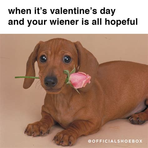 Cute Valentines Day Memes : 21 valentine's day memes that will make you ...