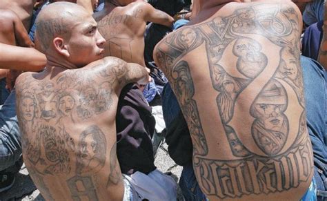 Reconocen presencia de integrantes de la “Mara Salvatrucha” en SJR