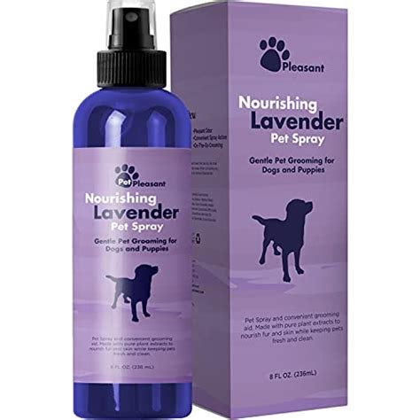 The Best Dog Deodorant Spray | July 2021