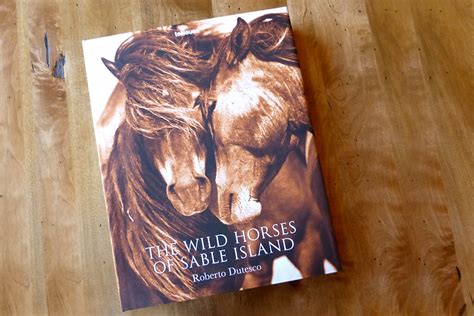 The Wild Horses of Sable Island