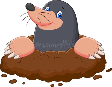 Mole Animal Cartoon