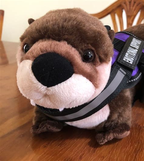 Emotional Support Otter Stuffed Animal Plushie Toy - Etsy Canada