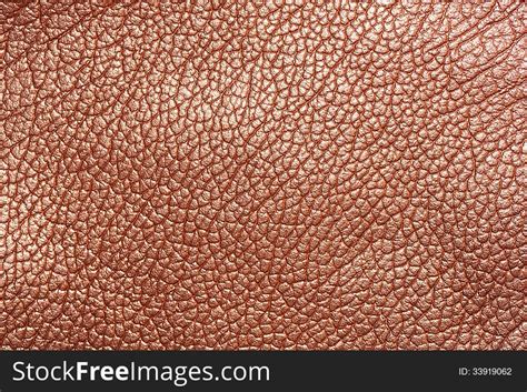 Skin Texture - Free Stock Images & Photos - 33919062 | StockFreeImages.com