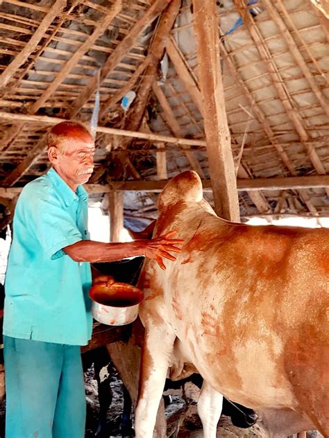 Recalling a recent Diwali in a Warli hamlet