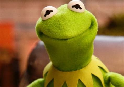 Dark Kermit Meme Template