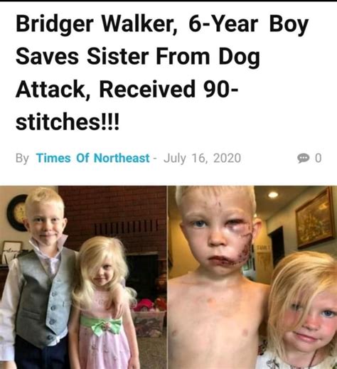 Bridger Walker, 6-Year Boy Saves Sister From Dog Attack, Received 90 ...