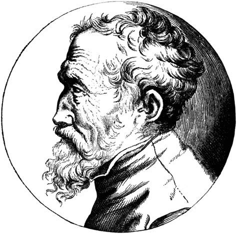 Free Michelangelo Cliparts, Download Free Michelangelo Cliparts png ...