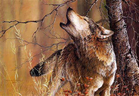 Howling Wolf in a Forest - HD Wallpaper by Christopher B. Walden