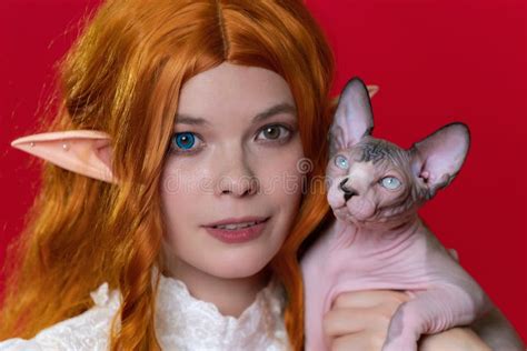 Redhead Cosplayer Elf Young Woman in White Dress Holds White Wicker Basket with Sphinx Cat Stock ...