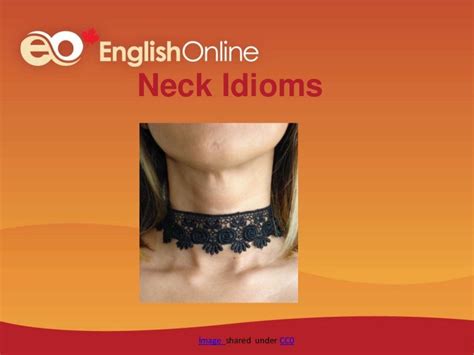 Neck idiom power points