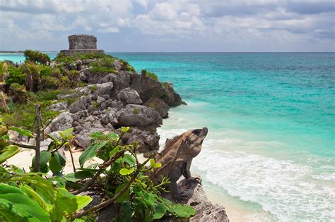 Tulum Culture & Jungle Adventure Tour from the Riviera Maya - Tourist Journey