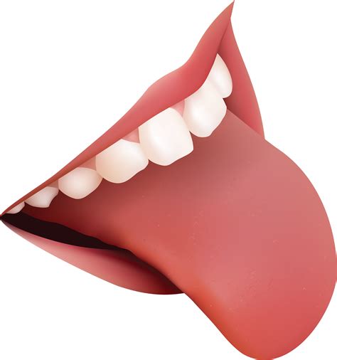 Teeth PNG image