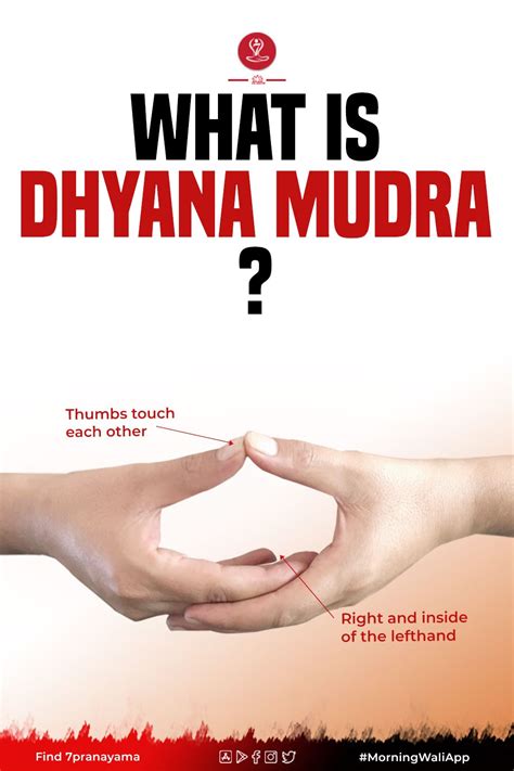 Dhyana Mudra (Gesture of Meditation): Steps, Benefits & More - 7pranayama.com | Yoga facts ...