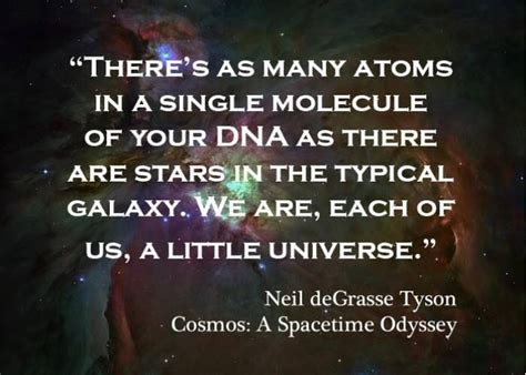 NDT - Cosmos | Cosmos quotes, Quotes, Universe