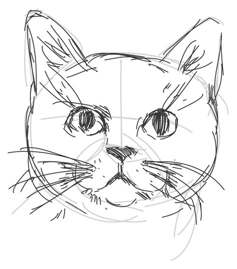 How to draw a cat. | Cats art drawing, Cat drawing tutorial, Animal drawings