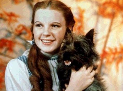 The Beautiful Dorothy Gale - Dorothy Gale Photo (18685951) - Fanpop