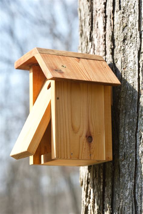 Black-capped Chickadee Cedar bird house | Etsy