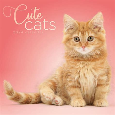 Cute Cat Calendar 2024 - Maren Bathsheba