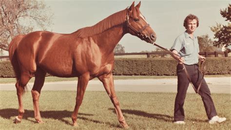 Triple Crown Turning Point: A Claimer, a Crafty Admiral, and a Colt ...