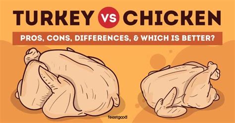 Turkey vs. Chicken: Pros, Cons, Differences, & Which Is Better ...