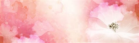 Hd Colorful Floral Banner Background, Hd, Bright, Flowers Background Image for Free Download