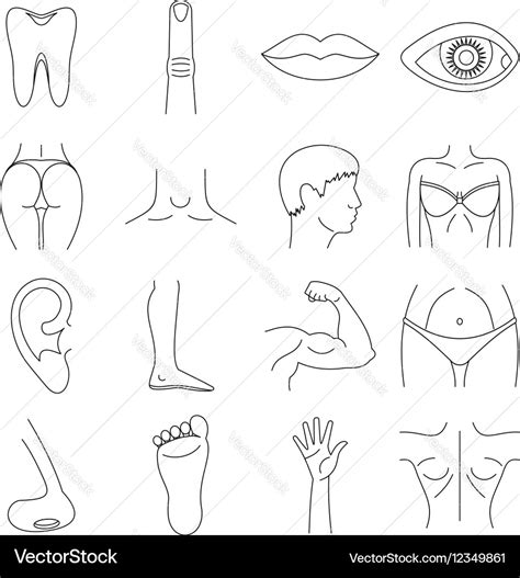 Body parts icons set outline style Royalty Free Vector Image