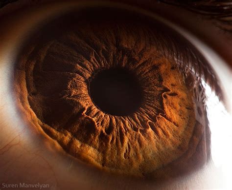 21 Extreme Close Ups of the Human Eye » TwistedSifter