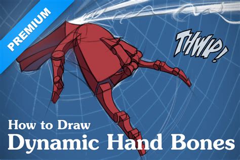 How to Draw Dynamic Hand Bones | Proko