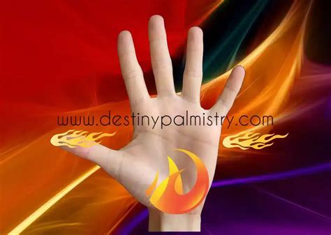 Fire Hand Shape Characteristics in Hand Analysis - Destiny Palmistry