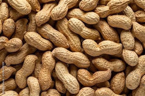 Shelled peanuts Stock Photo | Adobe Stock