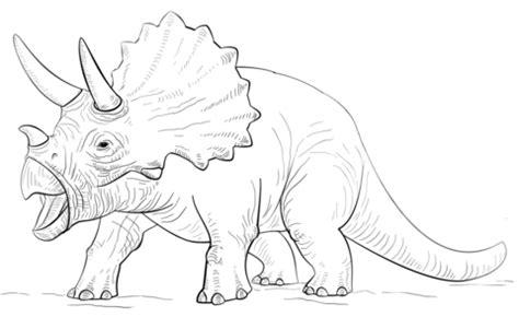 Triceratop dinosaur Coloring page | Dinosaur coloring pages, Dinosaur coloring, Dinosaur sketch